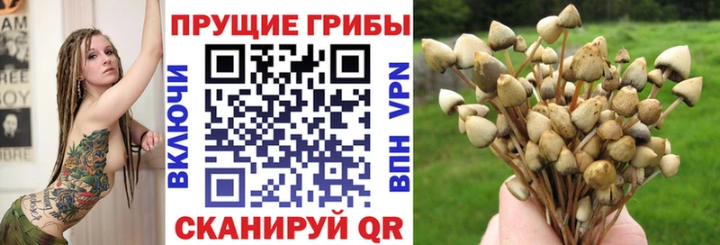 Псилоцибиновые грибы Magic Shrooms  Новоузенск 