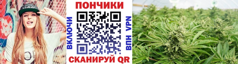 МАРИХУАНА конопля  Новоузенск 
